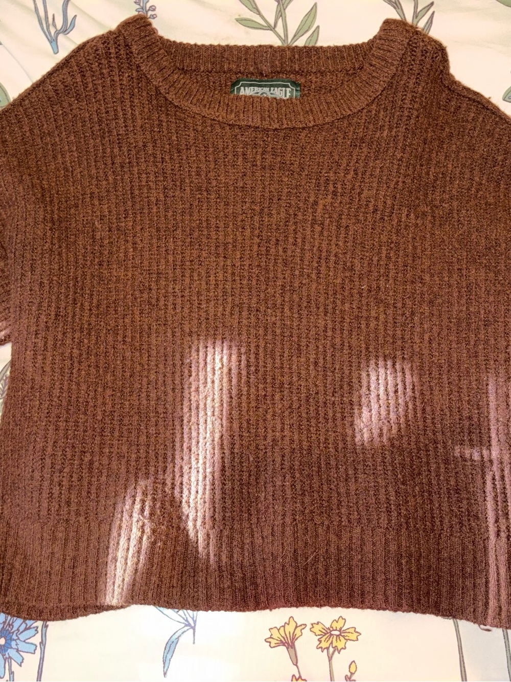 American Eagle Outfitters Brown Ribbed Crewneck Sweater